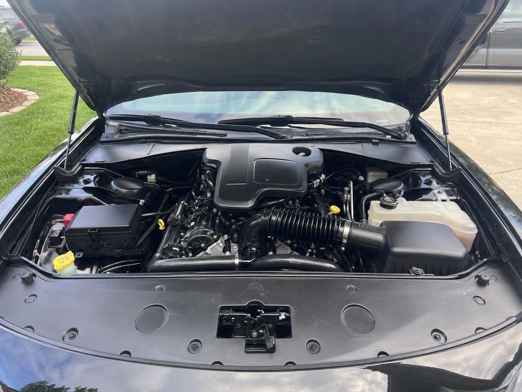 Clean engine bay after detailing